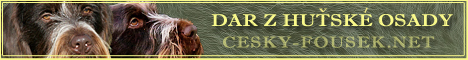 Banner - Dar z Huťské Osady - Český fousek