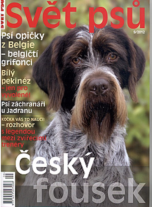Časopis Svět psů - český fousek